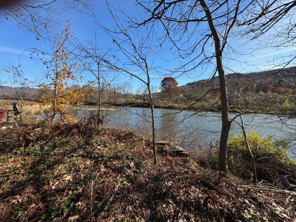 36 Main Street Deposit, NY 13754 - Photo 6 of 22