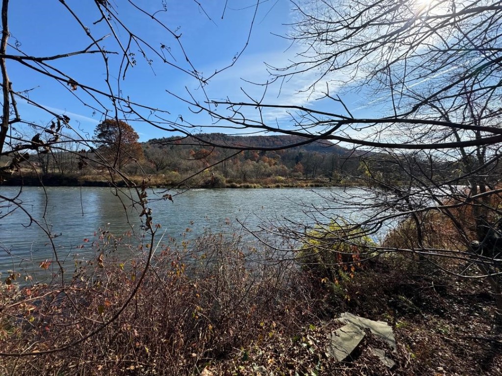 36 Main Street Deposit, NY 13754 - Photo 7 of 22