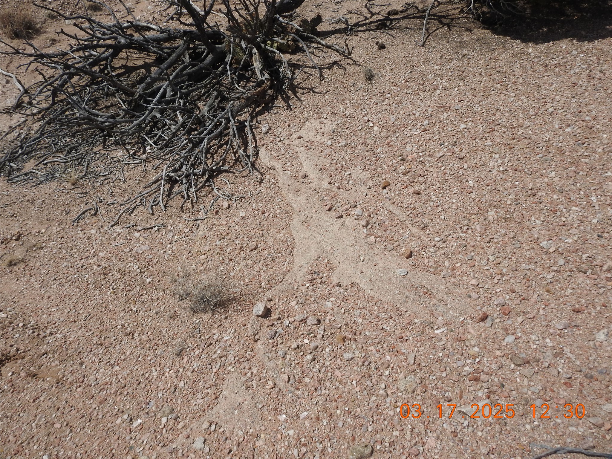 0 Wildass Road Santa Fe, NM 87506 - Photo 24 of 26 Limestone outcrop