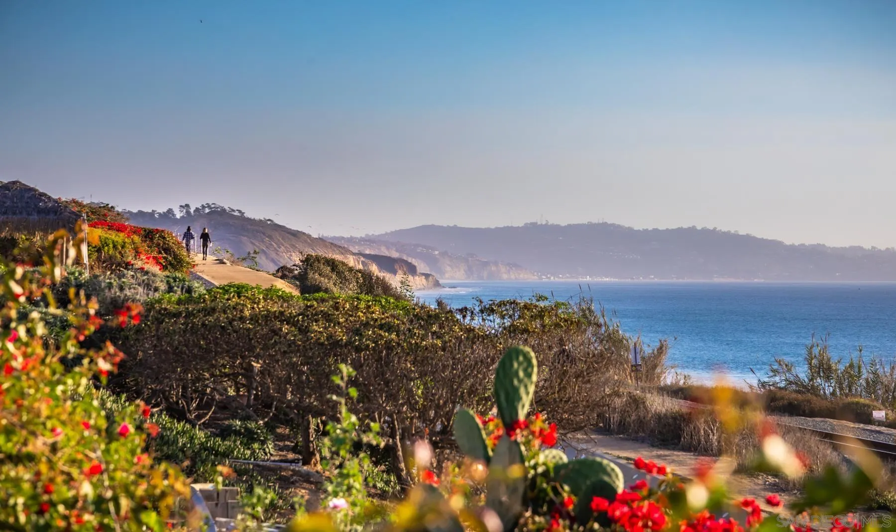 110 8th Street Del Mar, CA 92014 - Photo 19 of 24