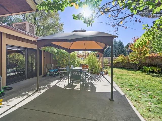 a view of a yard with plants and large trees