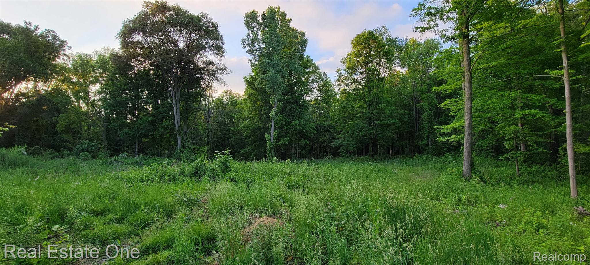 Parcel C McClements Road Brighton, MI 48114 - Photo 2 of 8 Center area open and great placement for a home.