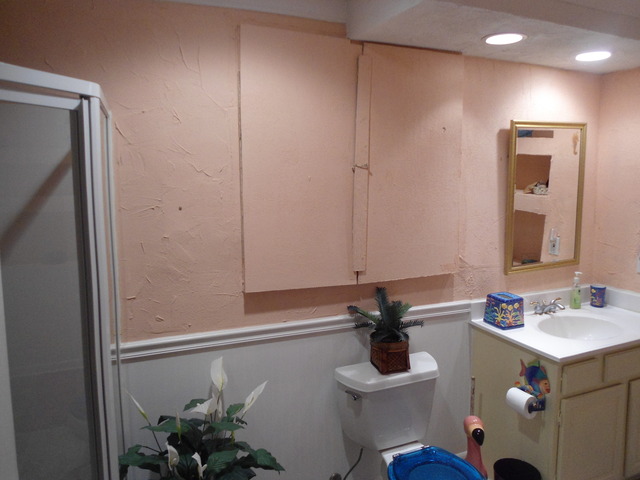 10280 Branch Road Rochelle, IL 61068 - Photo 14 of 17 a bathroom with a sink a toilet and a mirror