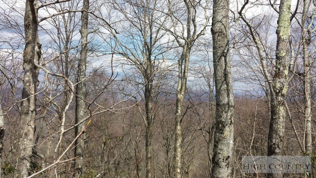 306 Pinnacle Ridge Road Beech Mountain, NC 28604 - Photo 4 of 4 a backyard of a house with lots of trees