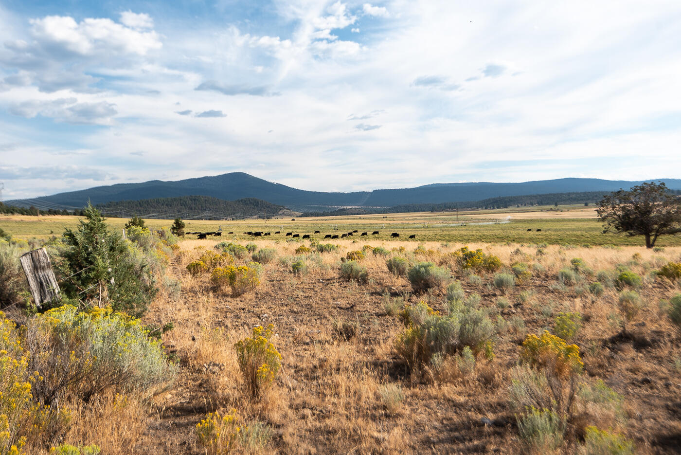 44220 Highway 140 Beatty, OR 97621 - Photo 52 of 101 Hwy 140_Chad-43