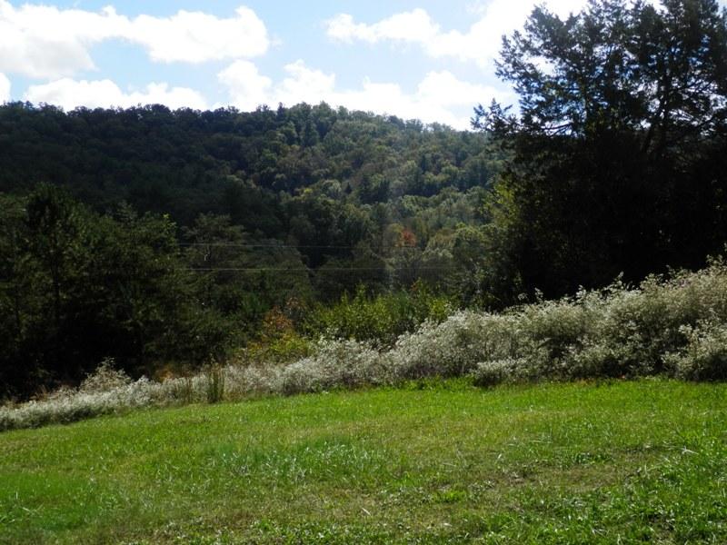 1955 Reliance Road Tellico Plains, TN 37385 - Photo 2 of 34 PA120016