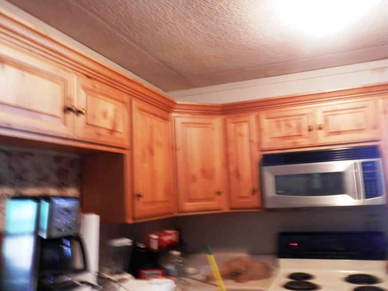 1955 Reliance Road Tellico Plains, TN 37385 - Photo 24 of 34 PA120039