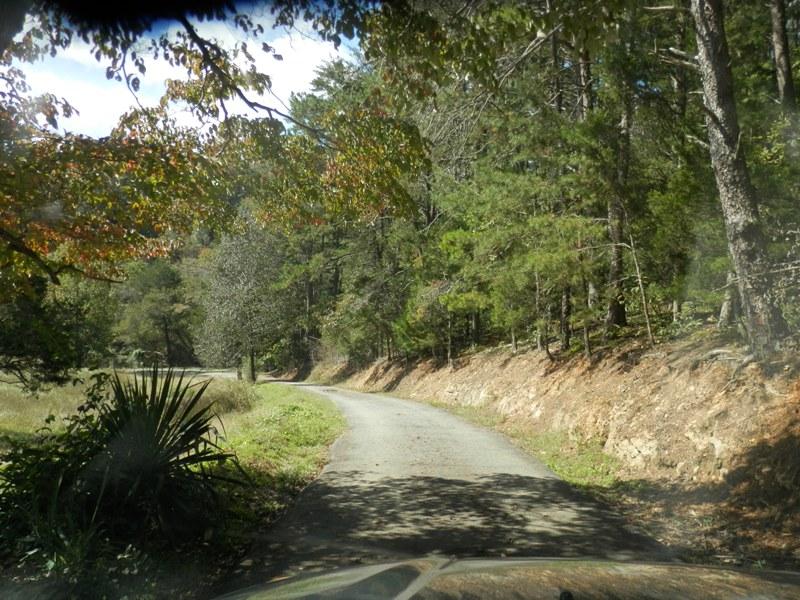 1955 Reliance Road Tellico Plains, TN 37385 - Photo 27 of 34 PA120042
