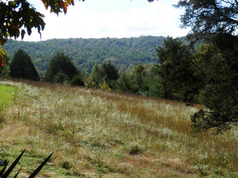 1955 Reliance Road Tellico Plains, TN 37385 - Photo 28 of 34 PA120043