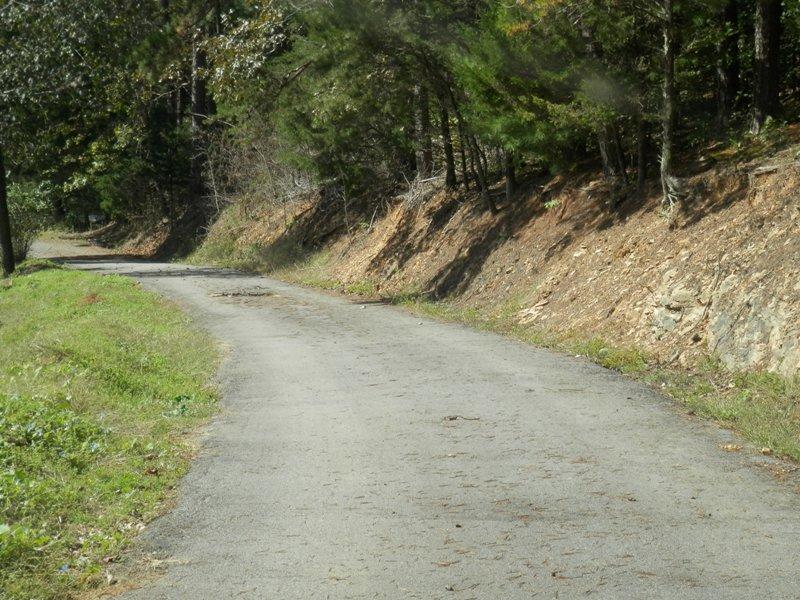 1955 Reliance Road Tellico Plains, TN 37385 - Photo 29 of 34 PA120044