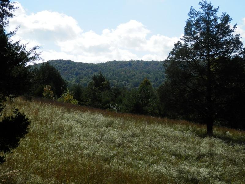 1955 Reliance Road Tellico Plains, TN 37385 - Photo 30 of 34 PA120045
