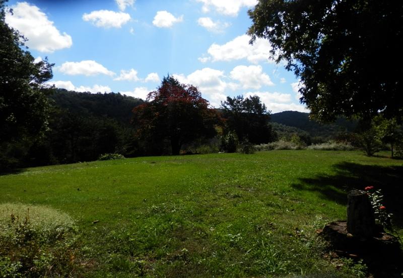 1955 Reliance Road Tellico Plains, TN 37385 - Photo 31 of 34 PA120011