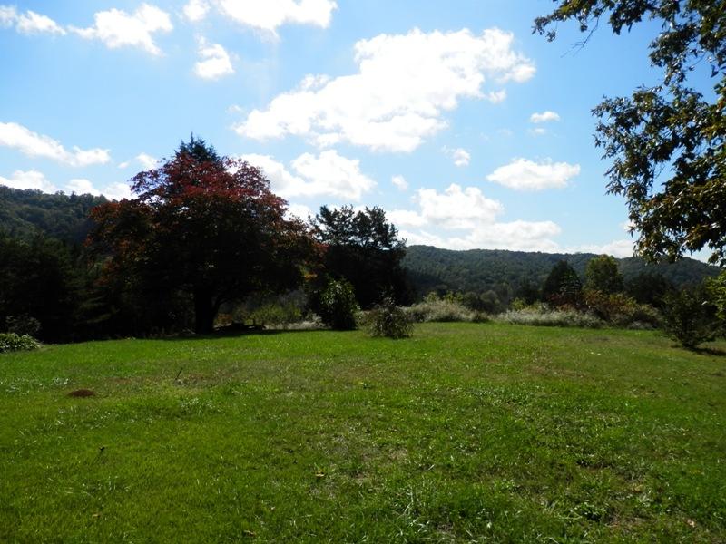 1955 Reliance Road Tellico Plains, TN 37385 - Photo 32 of 34 PA120012