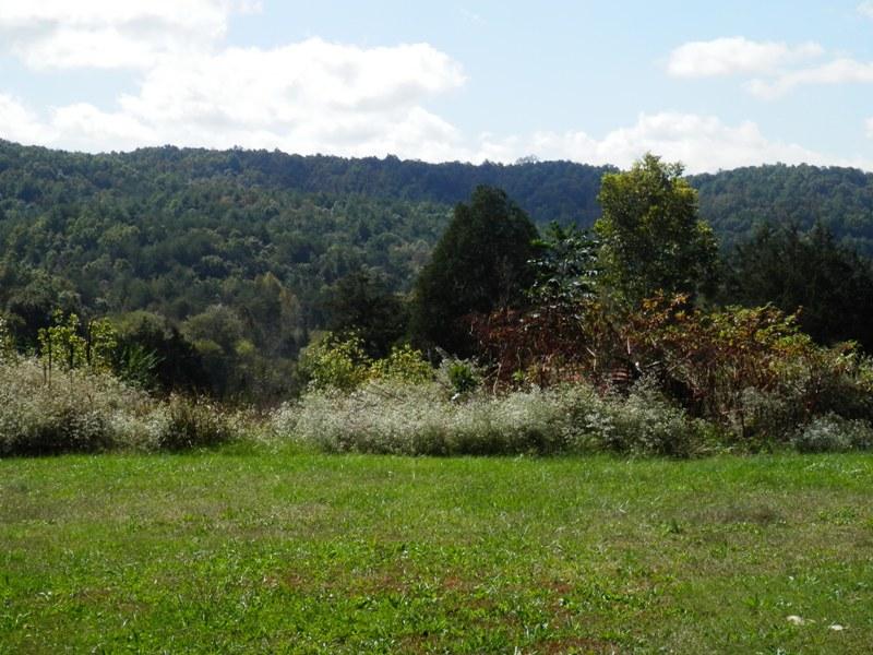 1955 Reliance Road Tellico Plains, TN 37385 - Photo 33 of 34 PA120013