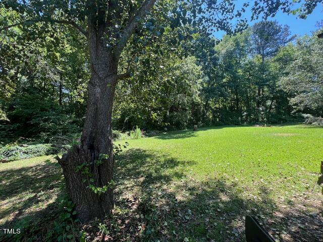 5368 Elevation Road Benson, NC 27504 - Photo 33 of 40 a view of green field with a tree