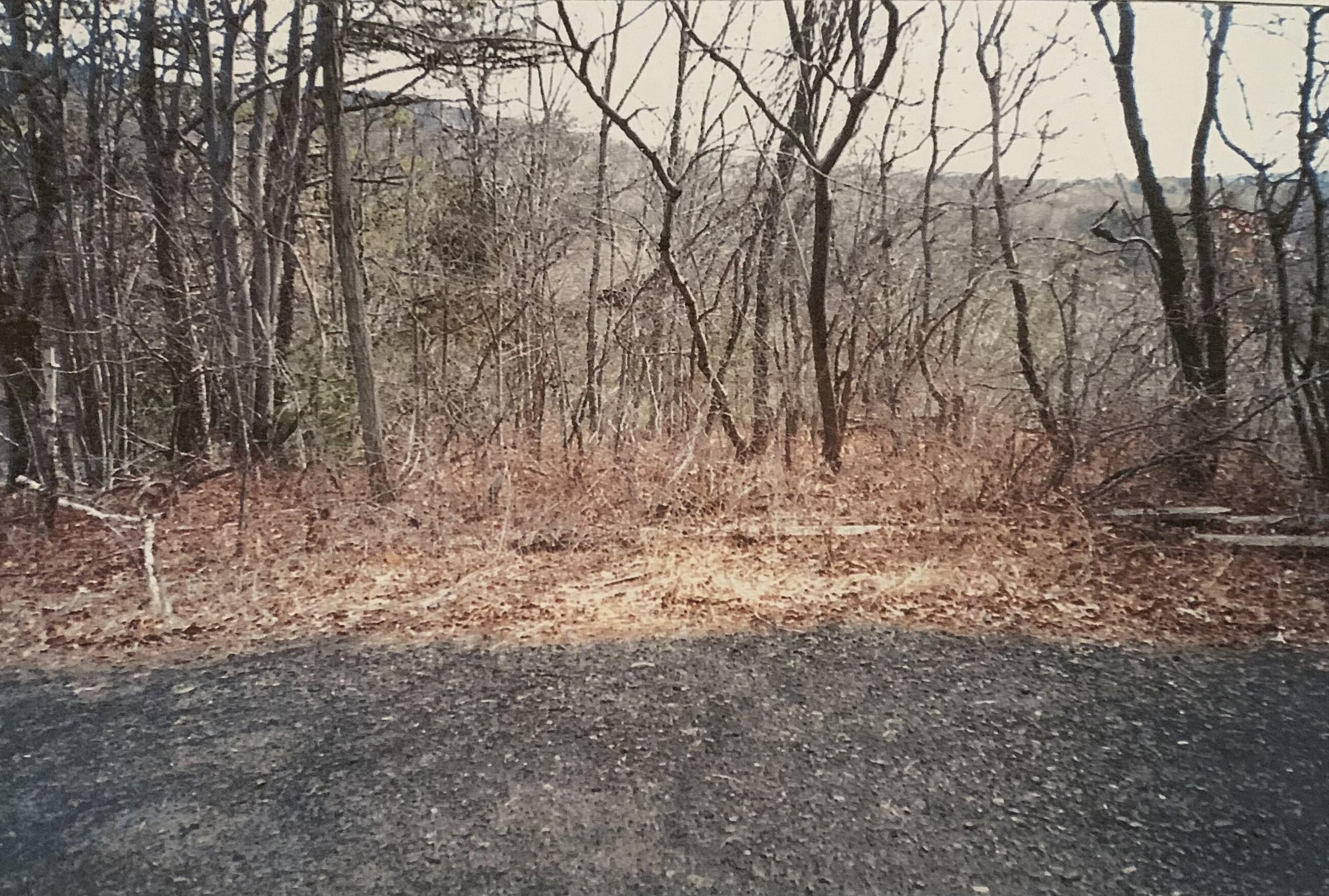 88 Beaver Lane East Stroudsburg, PA 18302 - Photo 1 of 11 Panoramic View