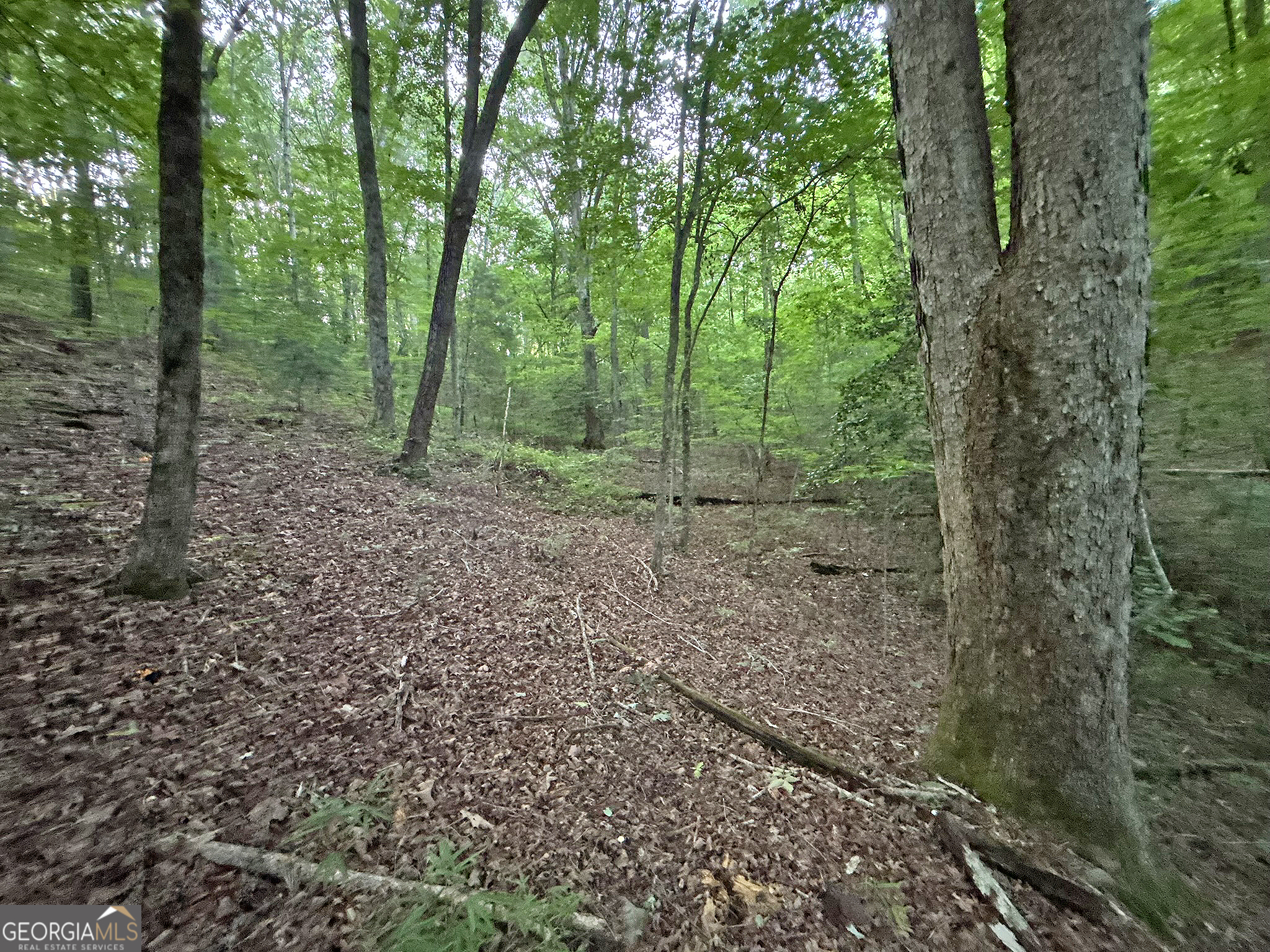 Lot 20 Mt Springer Road Ellijay, GA 30540 - Photo 30 of 32
