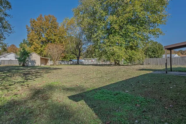 a view of yard with tree