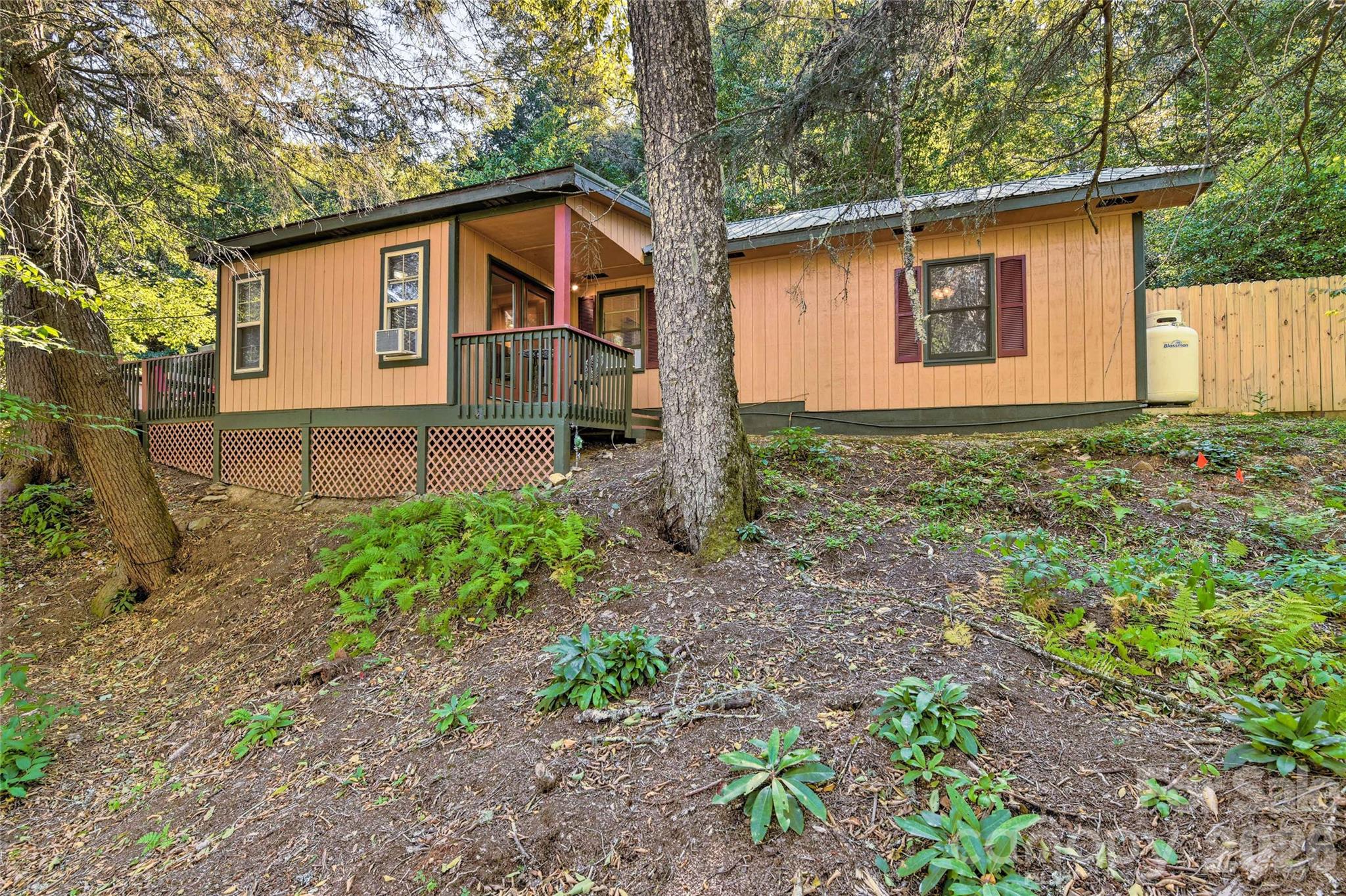 242 Plott Balsam Road Maggie Valley, NC 28751 - Photo 2 of 32
