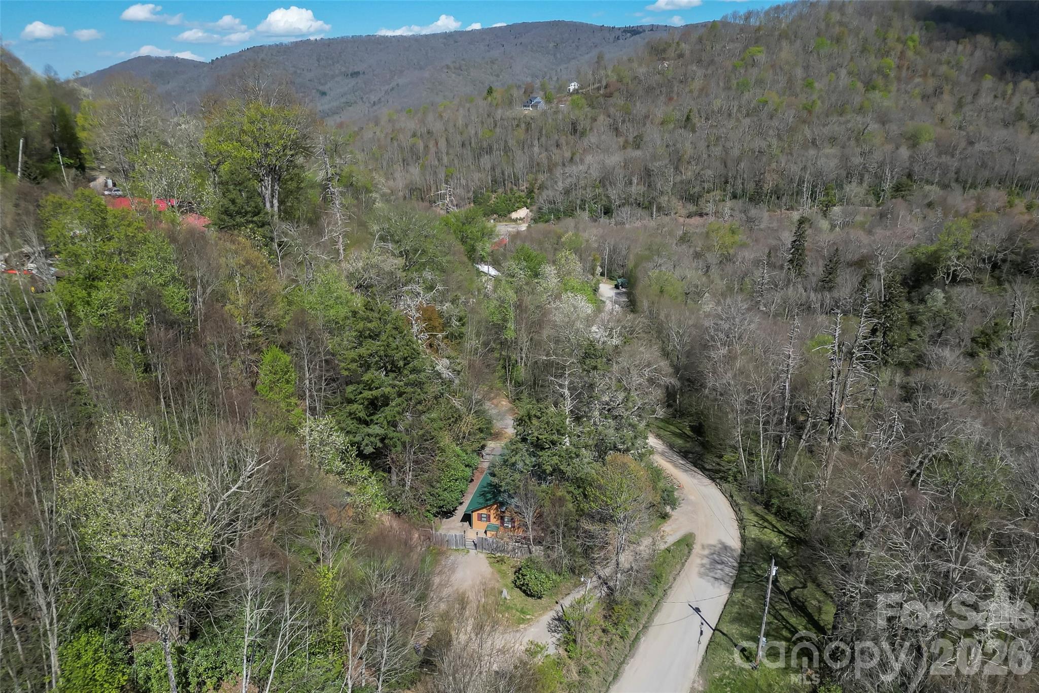242 Plott Balsam Road Maggie Valley, NC 28751 - Photo 31 of 32 a view of a forest with a forest
