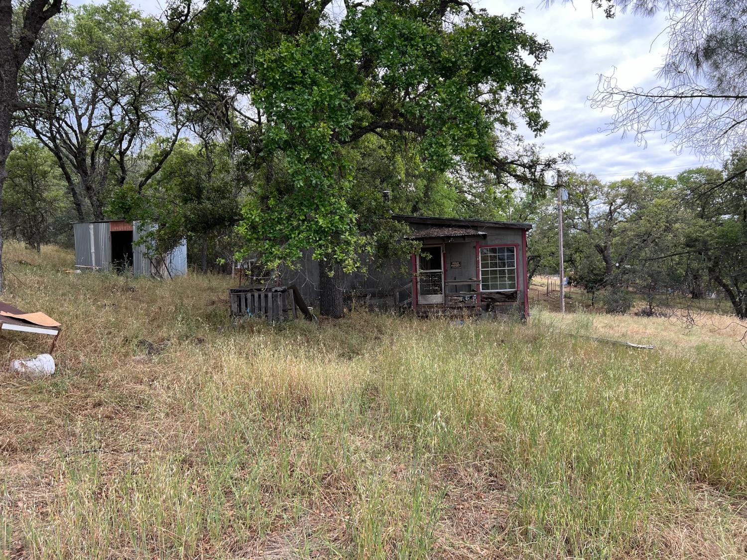 10840 Pool Station Road Angels Camp, CA 95222 - Photo 4 of 10 a view of house with pool and a yard