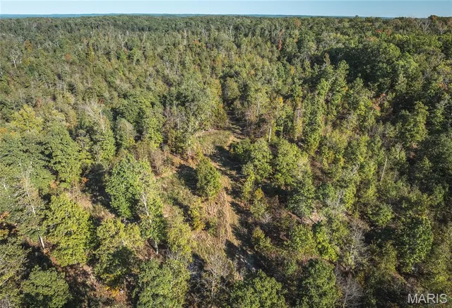 $490,000 | 0 County Road 584, Piedmont, MO 63957