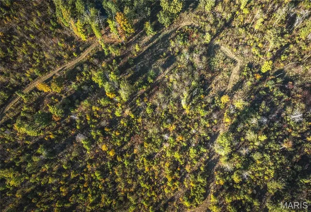 $490,000 | 0 County Road 584, Piedmont, MO 63957