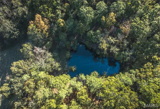 $490,000 | 0 County Road 584, Piedmont, MO 63957