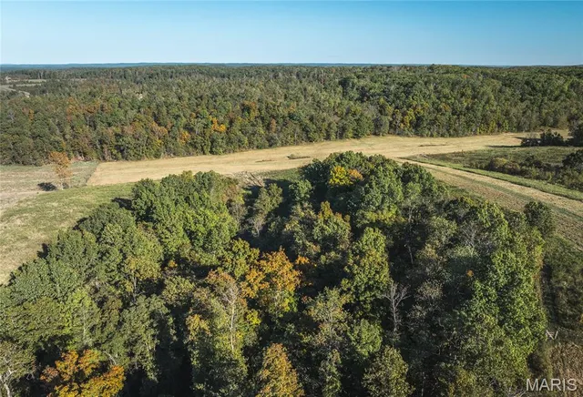$490,000 | 0 County Road 584, Piedmont, MO 63957