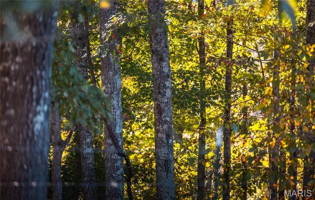 $490,000 | 0 County Road 584, Piedmont, MO 63957