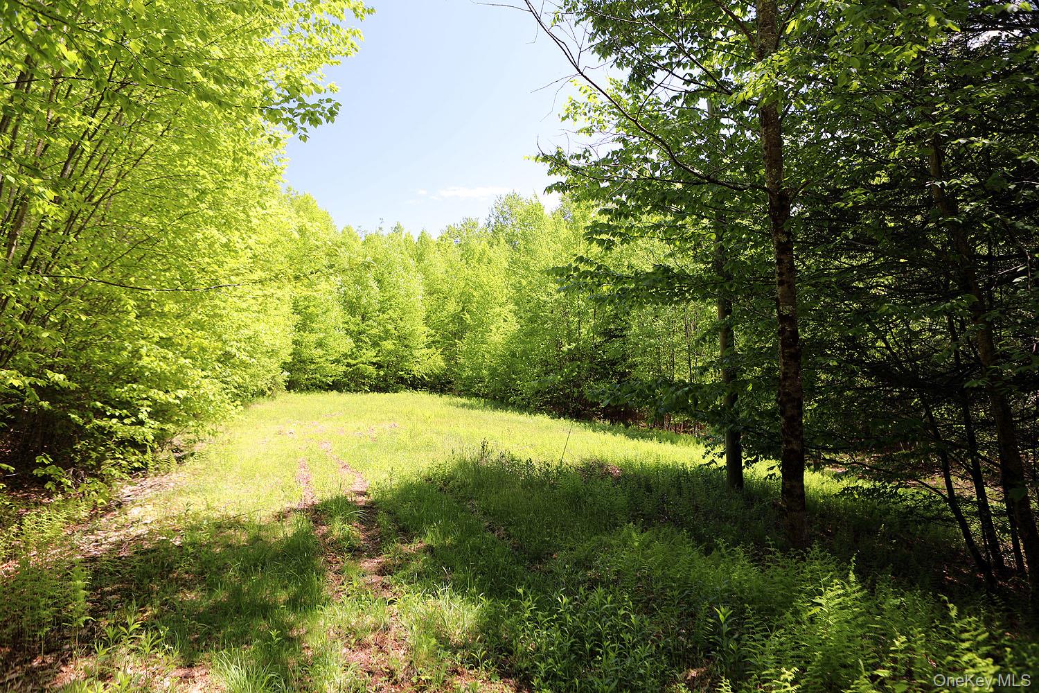 John Milk Road Long Eddy, NY 13783 - Photo 12 of 50 a view of a yard