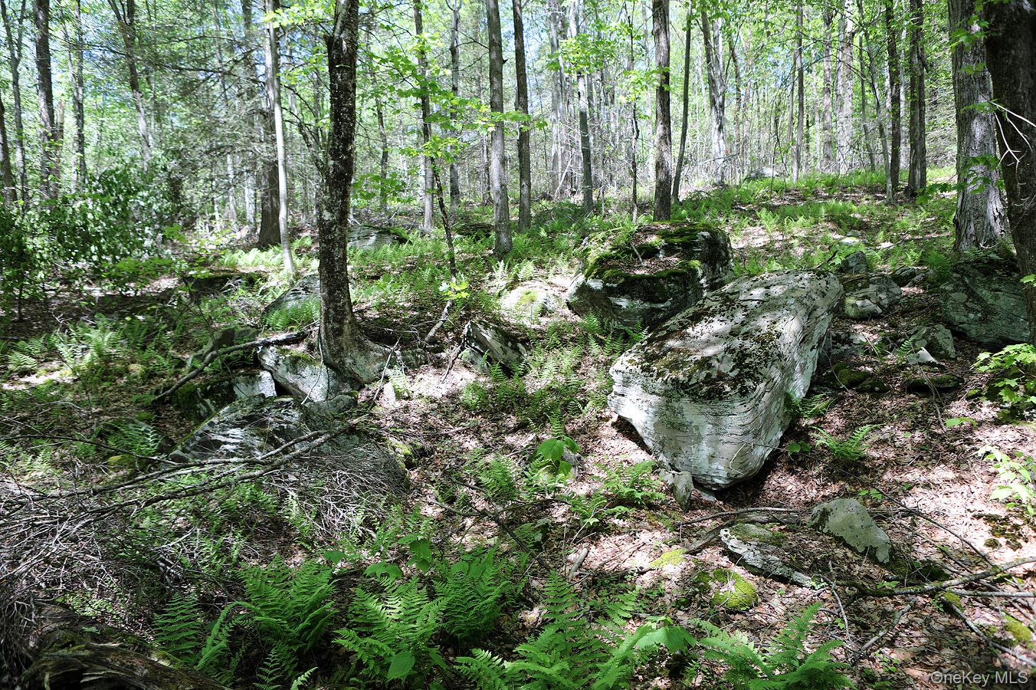 John Milk Road Long Eddy, NY 13783 - Photo 15 of 50 a view of a plant in a garden