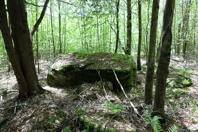 a view of outdoor space and garden
