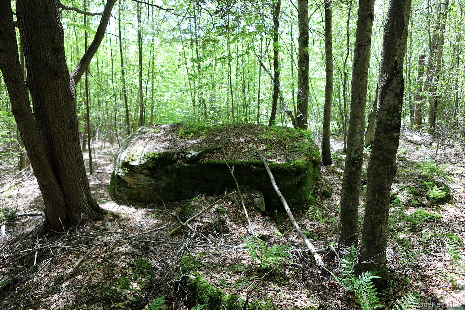John Milk Road Long Eddy, NY 13783 - Photo 16 of 50 a view of outdoor space and garden