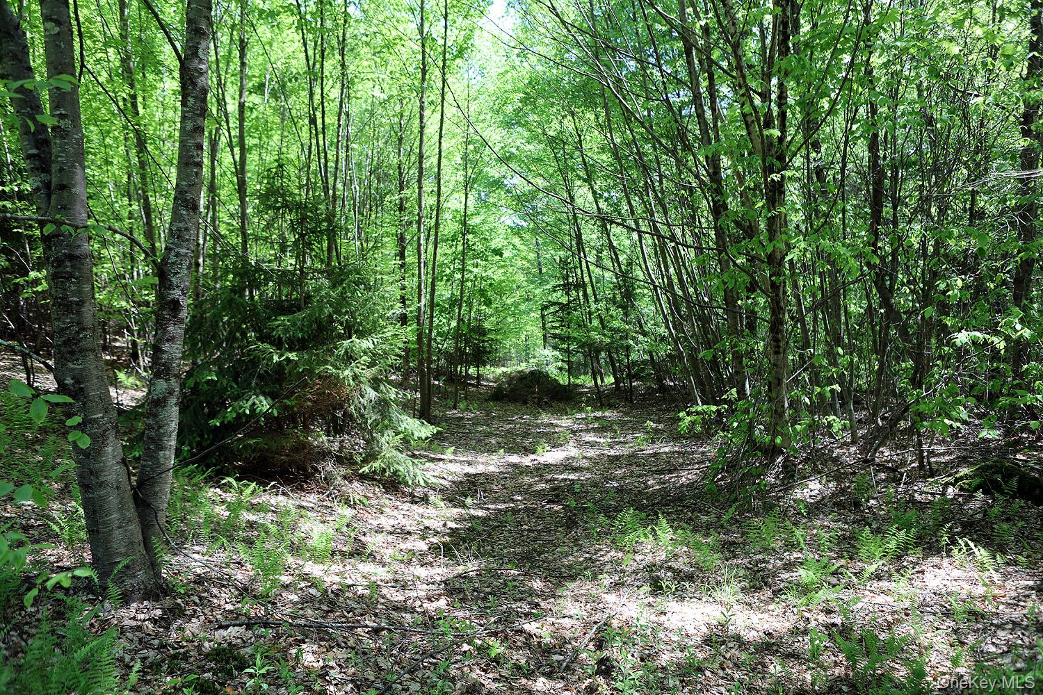 John Milk Road Long Eddy, NY 13783 - Photo 17 of 50 a big yard with lots of green space and trees