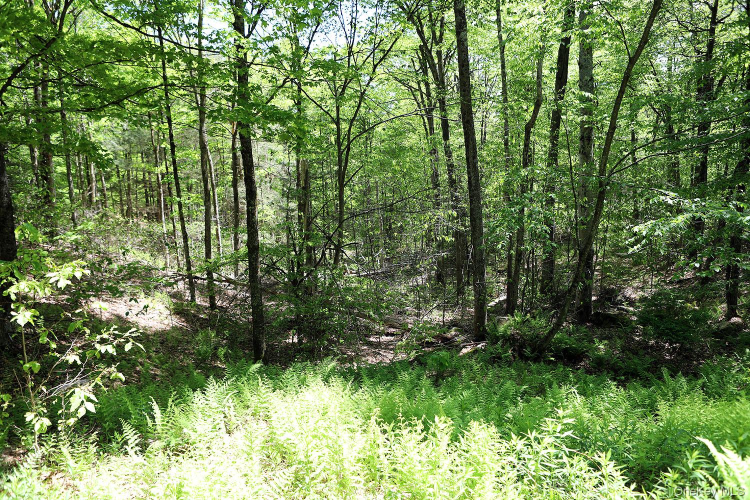 John Milk Road Long Eddy, NY 13783 - Photo 18 of 50 a view of a garden