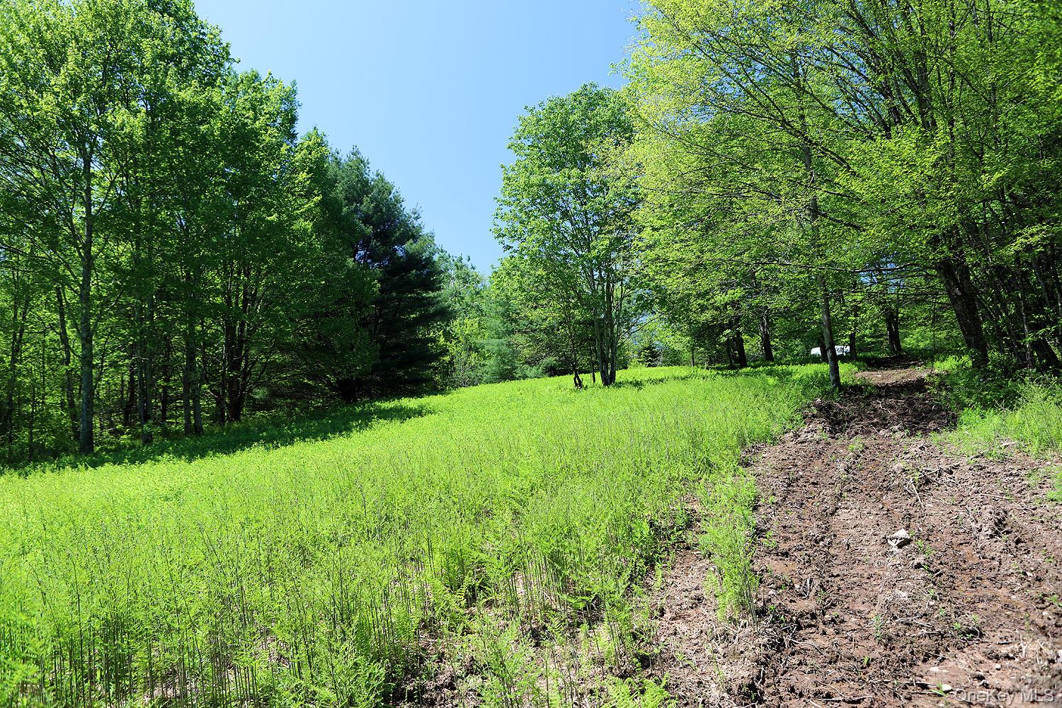 John Milk Road Long Eddy, NY 13783 - Photo 19 of 50 a view of a garden with trees