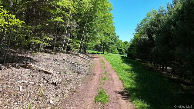 a view of an outdoor space with garden