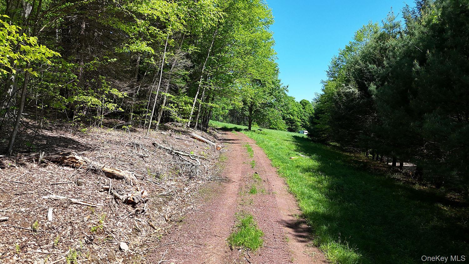 John Milk Road Long Eddy, NY 13783 - Photo 20 of 50 a view of an outdoor space with garden
