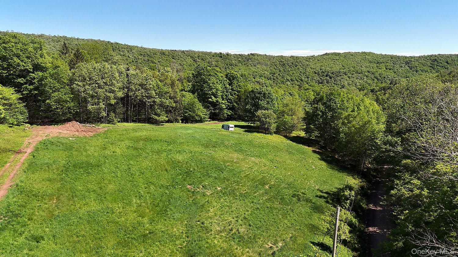 John Milk Road Long Eddy, NY 13783 - Photo 2 of 50 a view of a lush green field with mountains in the background