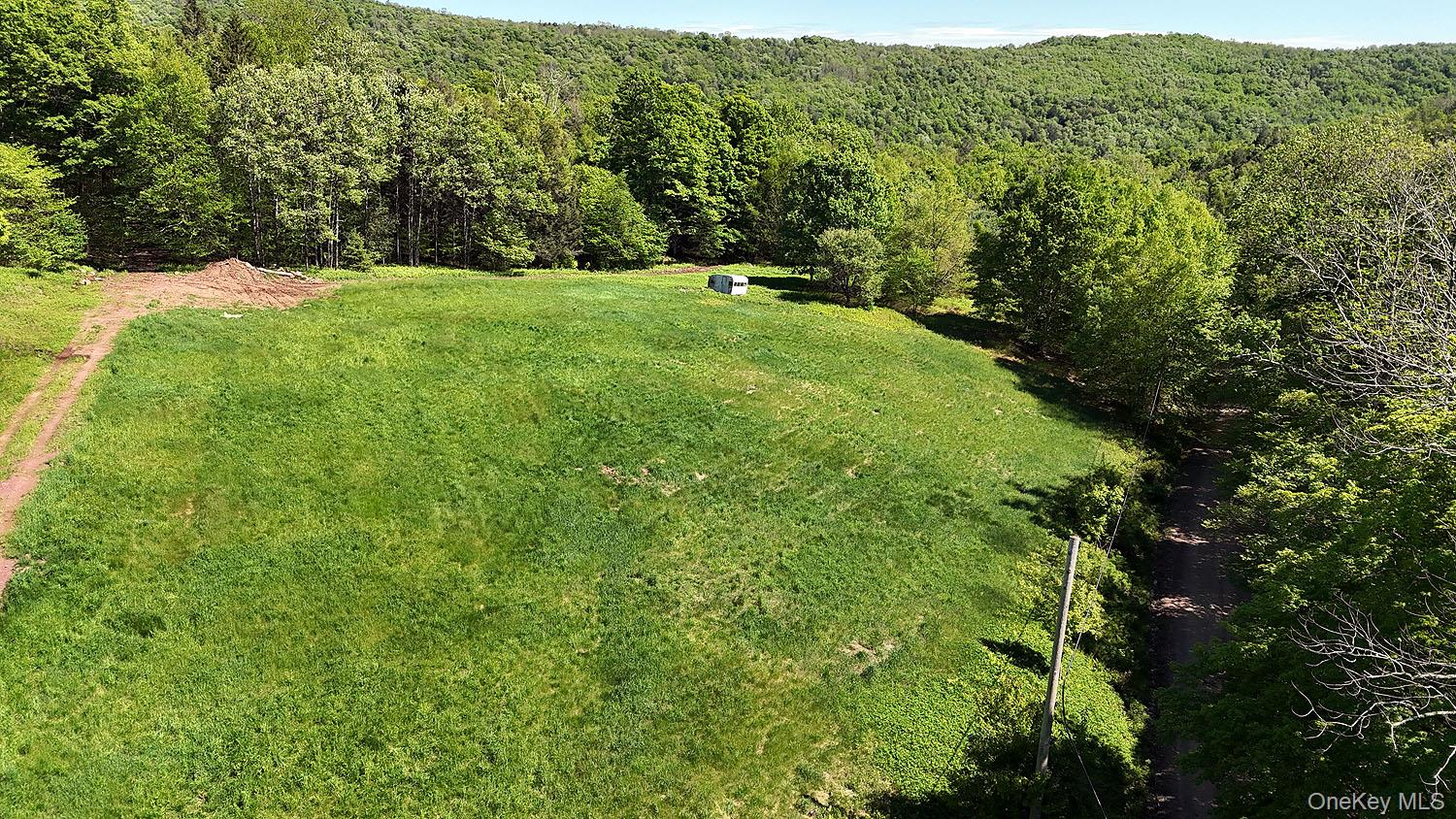 John Milk Road Long Eddy, NY 13783 - Photo 21 of 50