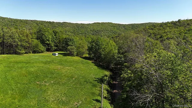 a view of a green field with lots of bushes