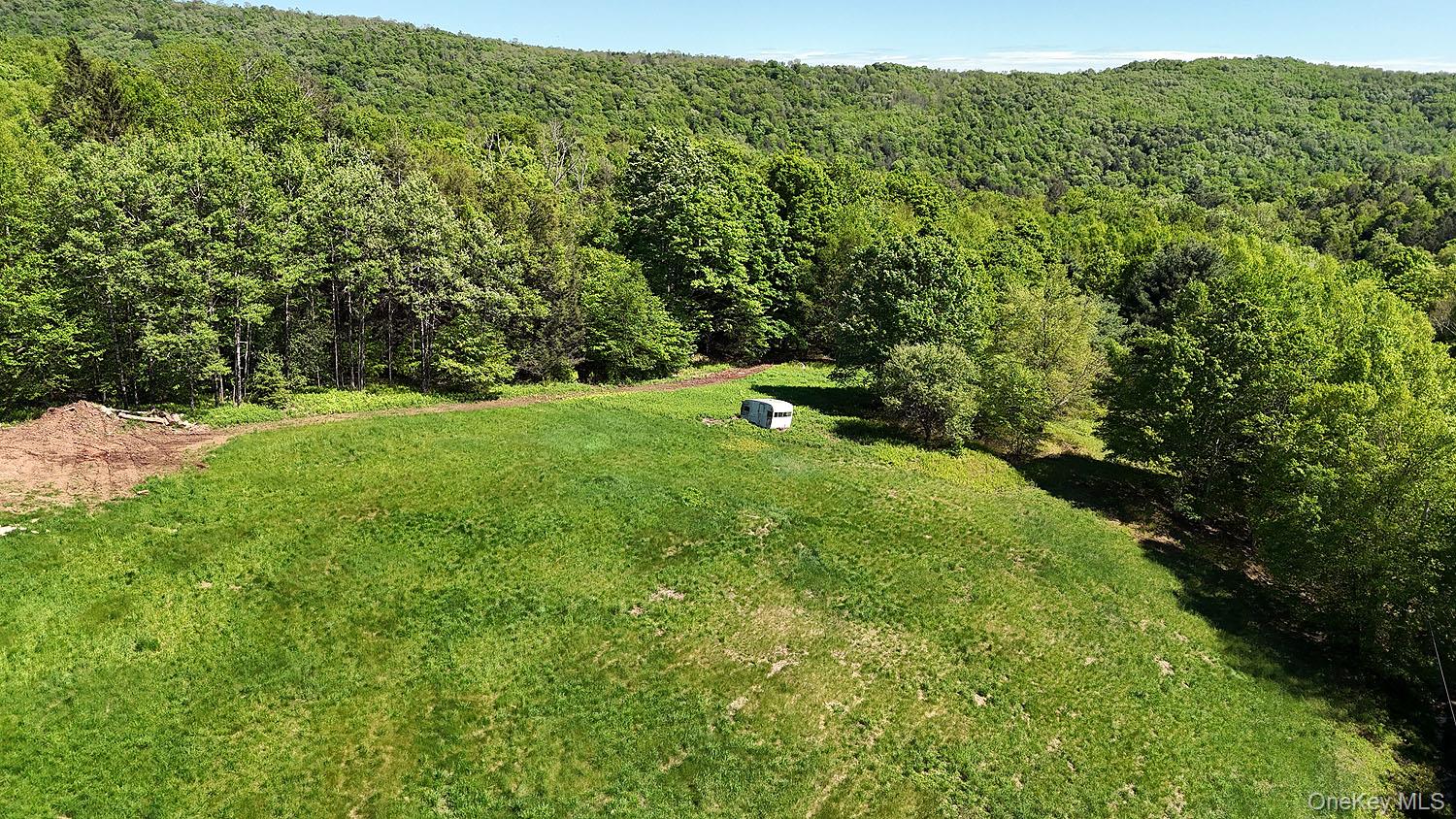 John Milk Road Long Eddy, NY 13783 - Photo 23 of 50 a view of a green field with lots of bushes