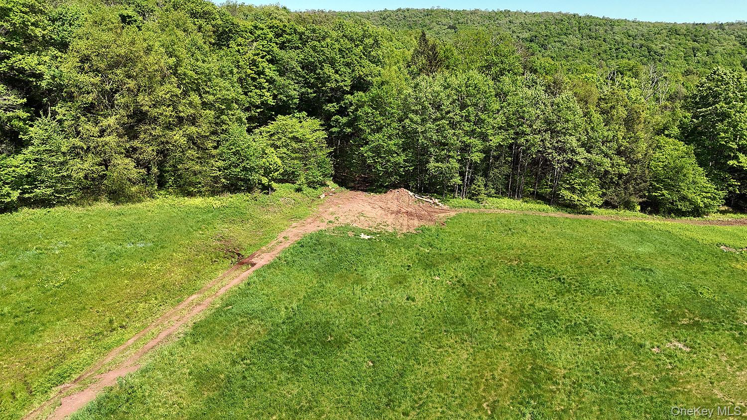 John Milk Road Long Eddy, NY 13783 - Photo 24 of 50 a view of a yard with a trees