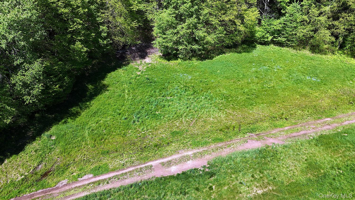 John Milk Road Long Eddy, NY 13783 - Photo 26 of 50 a view of a garden with a tree