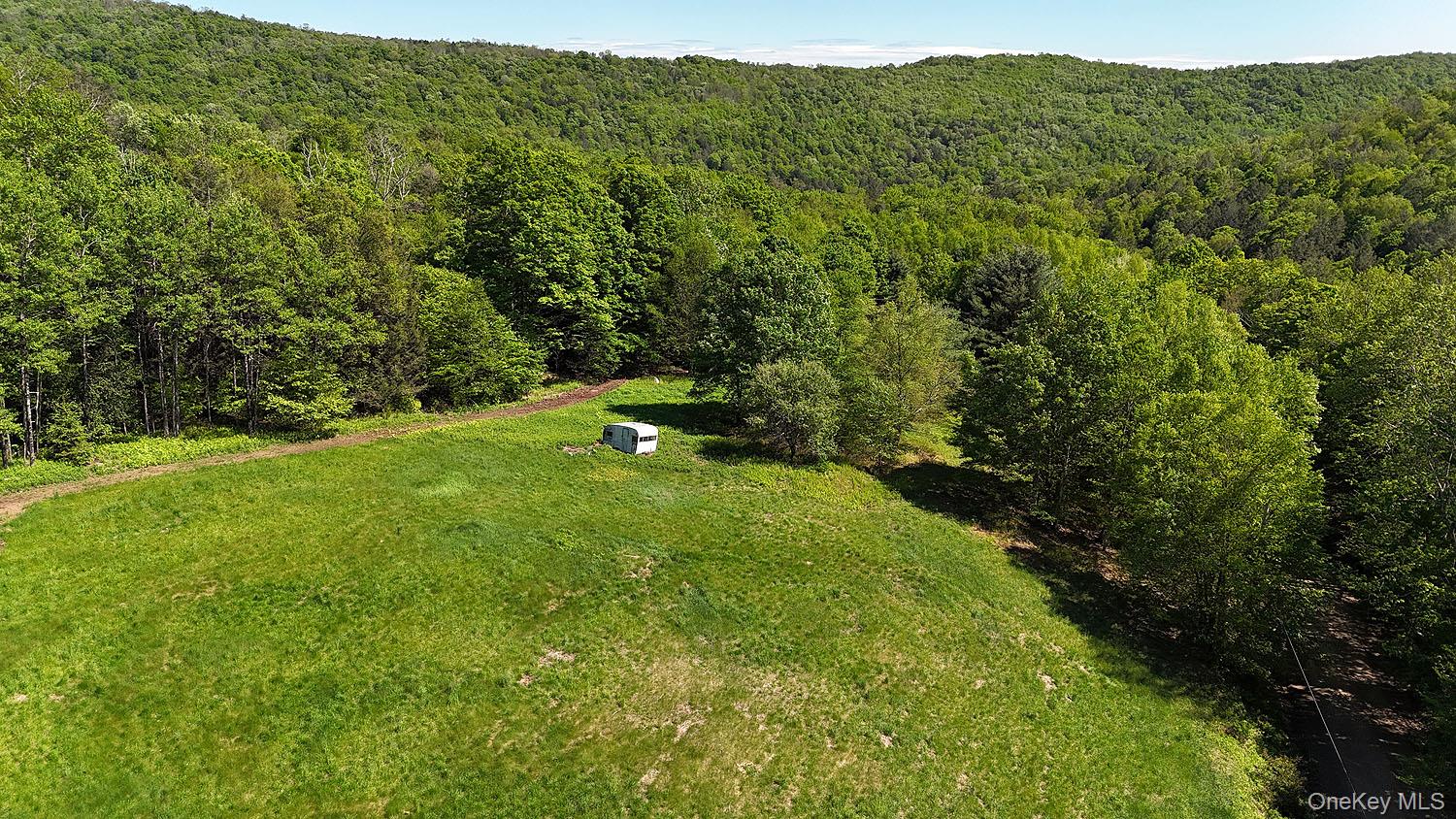 John Milk Road Long Eddy, NY 13783 - Photo 27 of 50 a view of a lush green forest with trees and some houses
