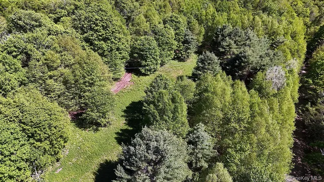 a view of a garden with plants