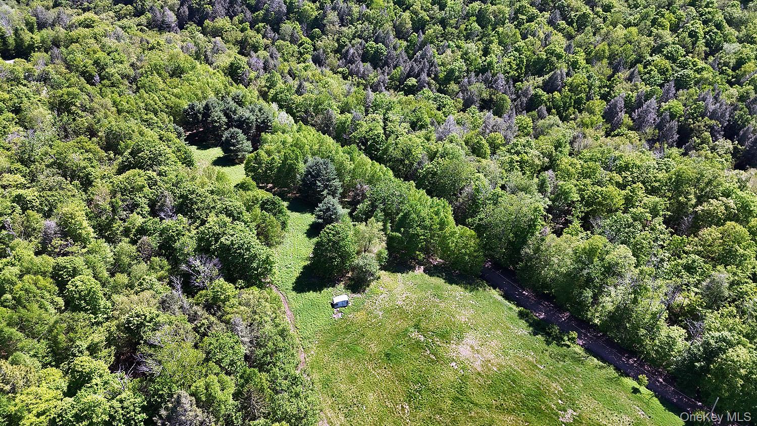 John Milk Road Long Eddy, NY 13783 - Photo 30 of 50 view of a lush green forest