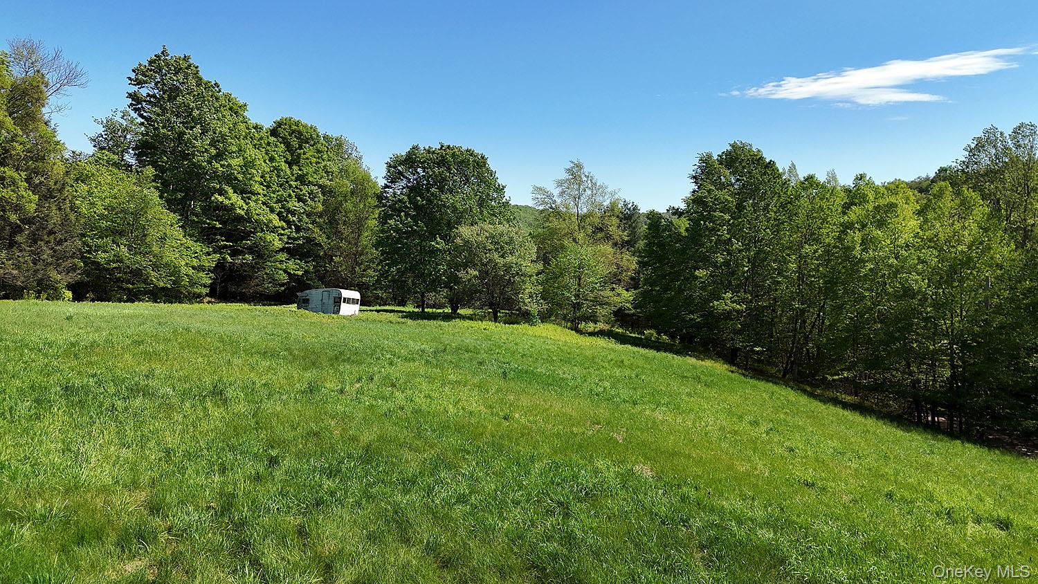 John Milk Road Long Eddy, NY 13783 - Photo 3 of 50 a view of field with trees in the background