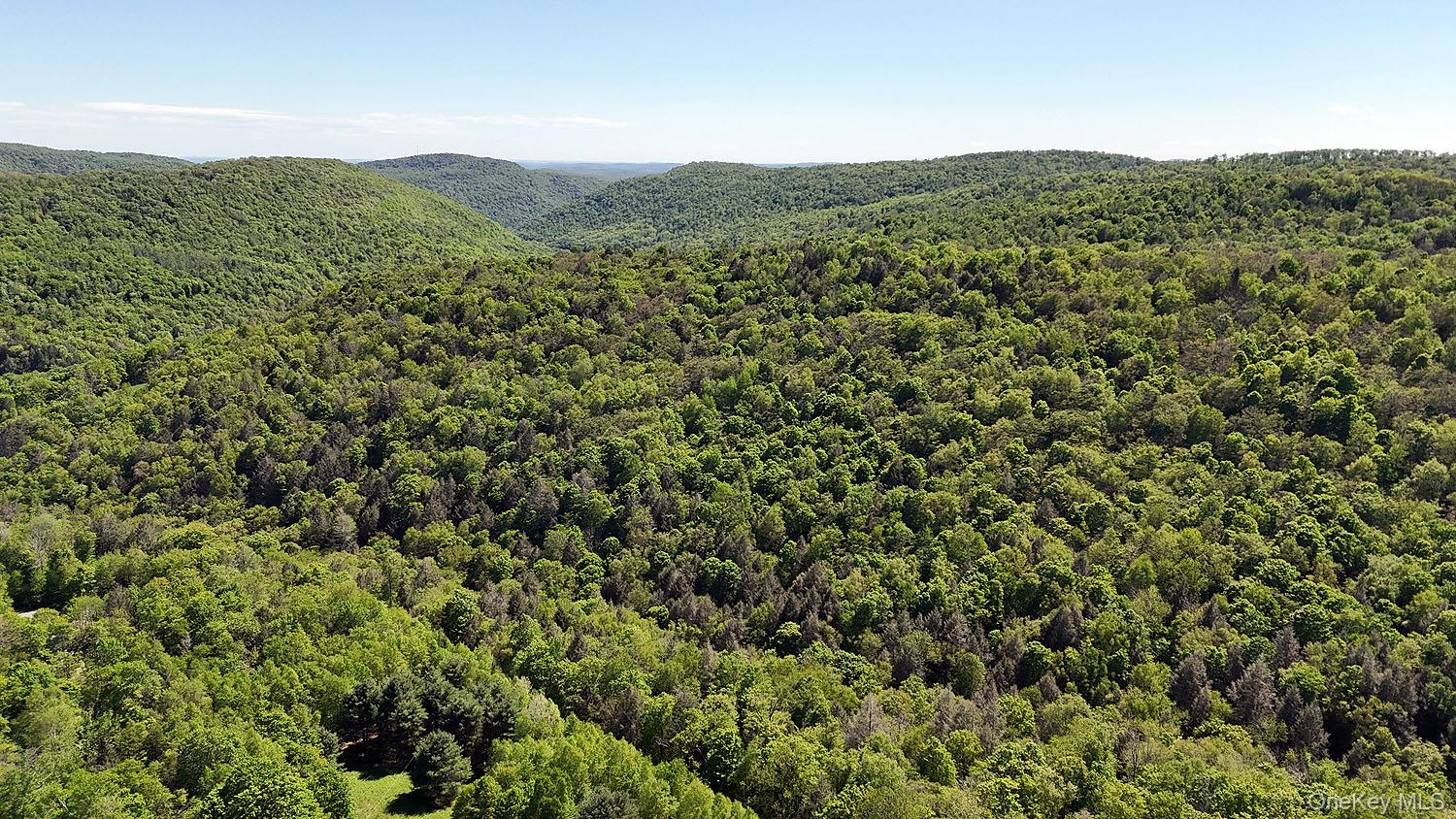 John Milk Road Long Eddy, NY 13783 - Photo 31 of 50 a view of a mountain range with lush green forest